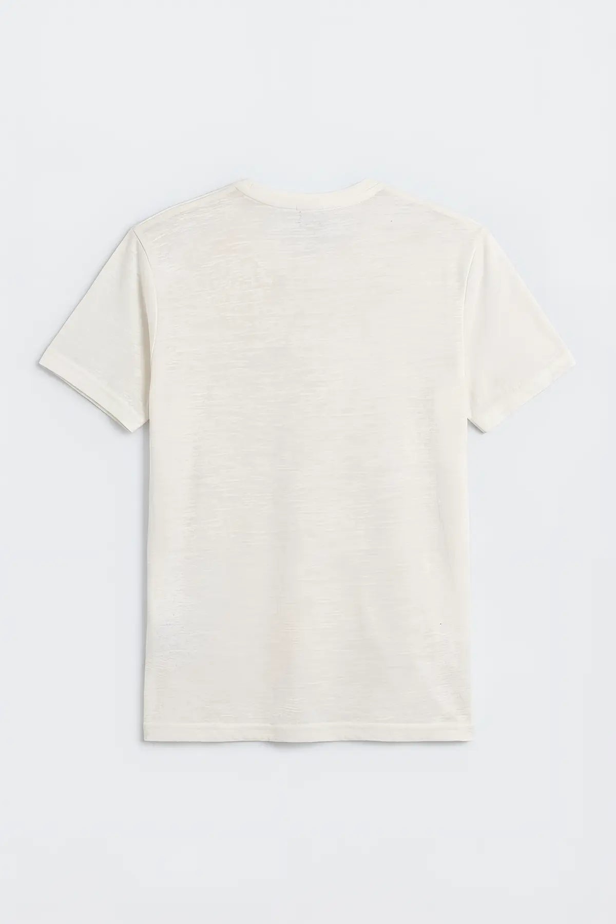 Antioch V Yaka Basic Erkek T-Shirt - arka gorunum