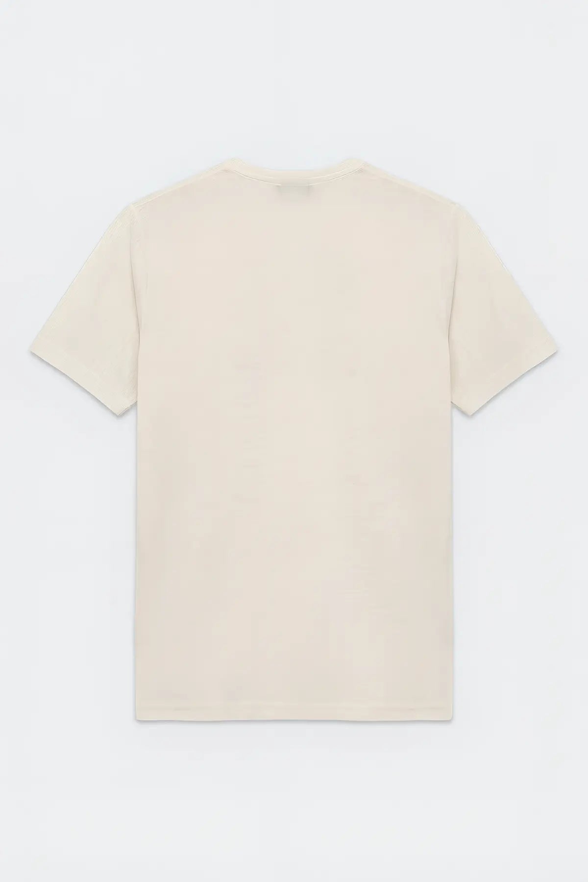 Antioch Basic Bisiklet Yaka Erkek T-Shirt - arka gorunum
