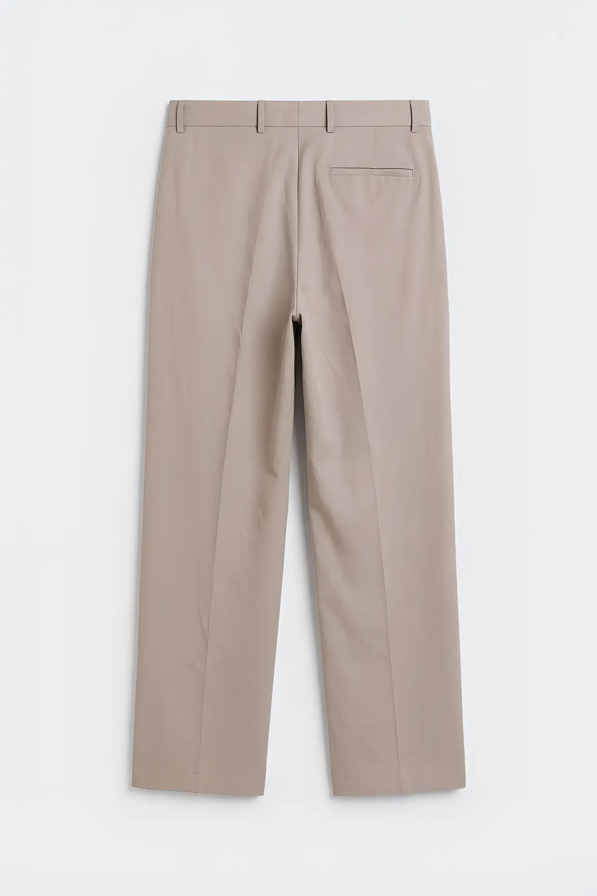Çift Pileli Baggy Fit Erkek Pantolon - arka gorunum