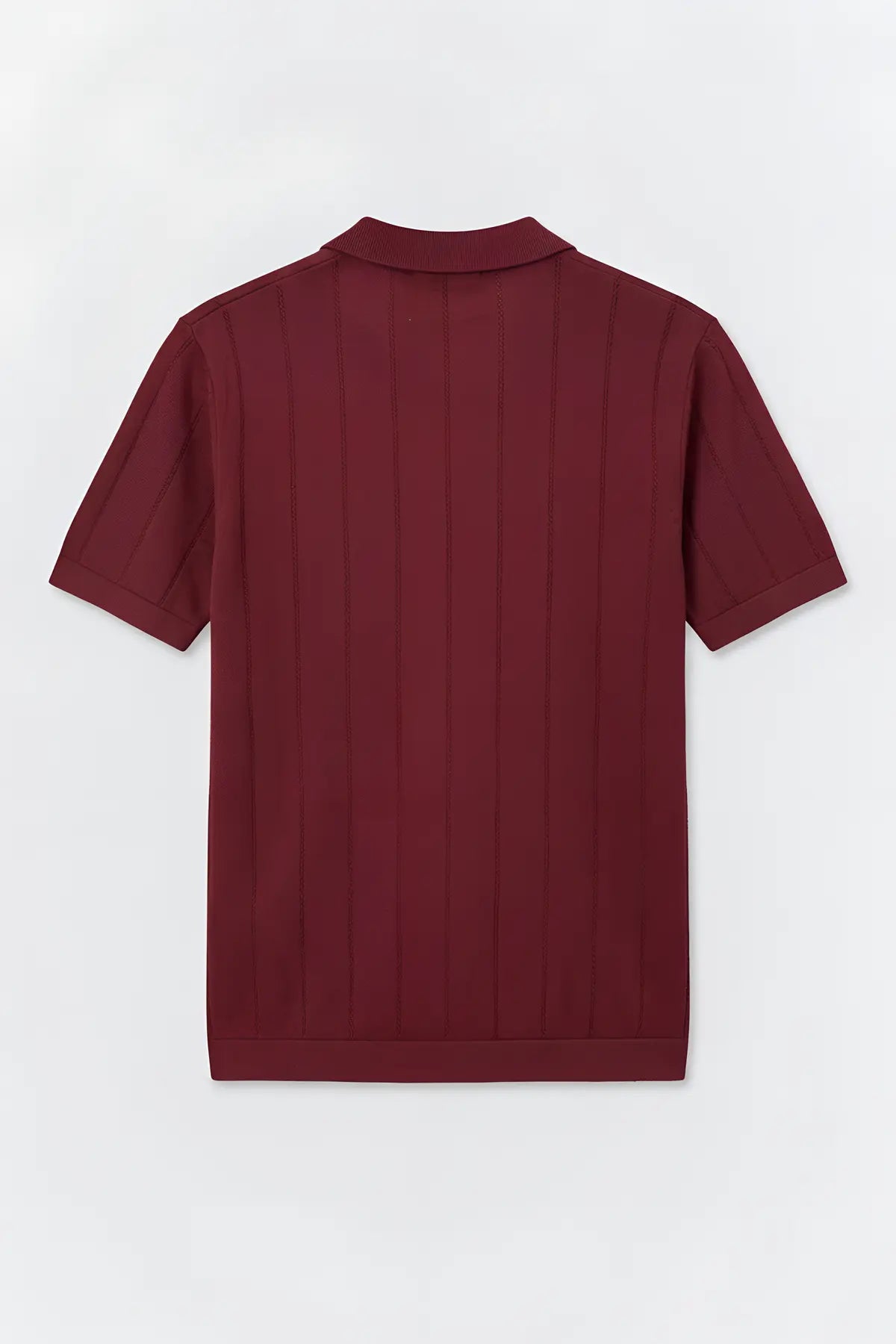 Antioch Fermuar Yaka Çizgili Triko Erkek T-Shirt - arka gorunum