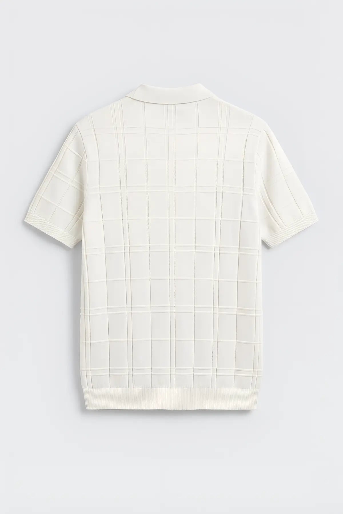 Kareli Desenli Erkek Triko T-Shirt - arka gorunum