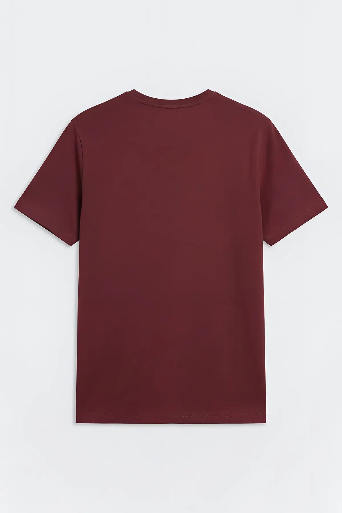 Antioch Regular Fit Basic Erkek T-Shirt - arka gorunum
