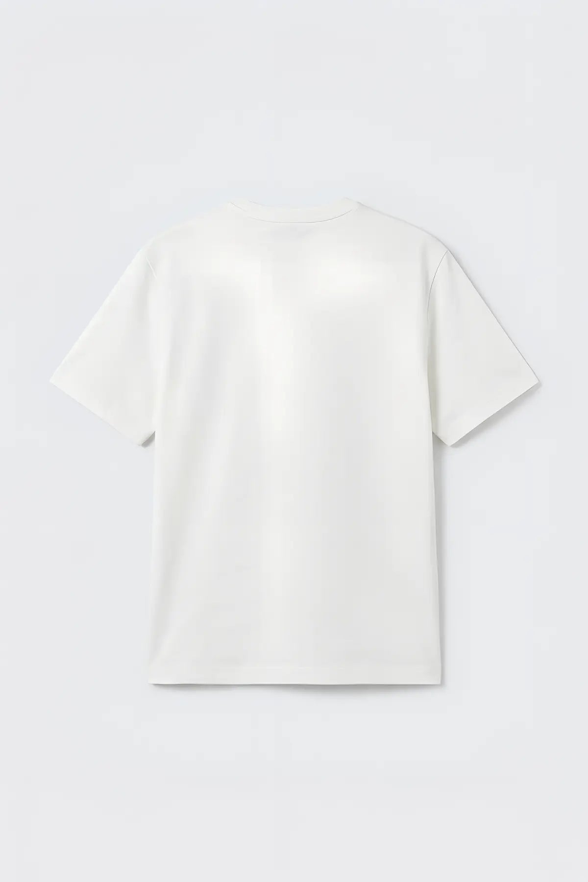 Antioch Regular Fit Basic Erkek T-Shirt - arka gorunum