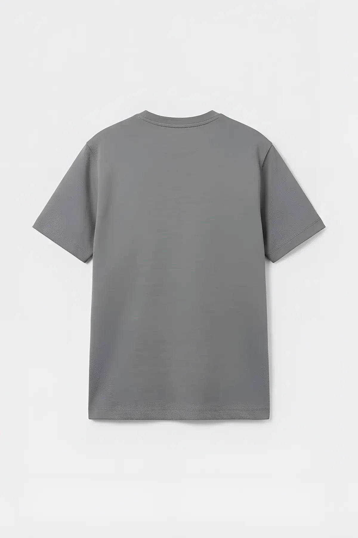 Regular Fit Basic Erkek T-Shirt - arka gorunum