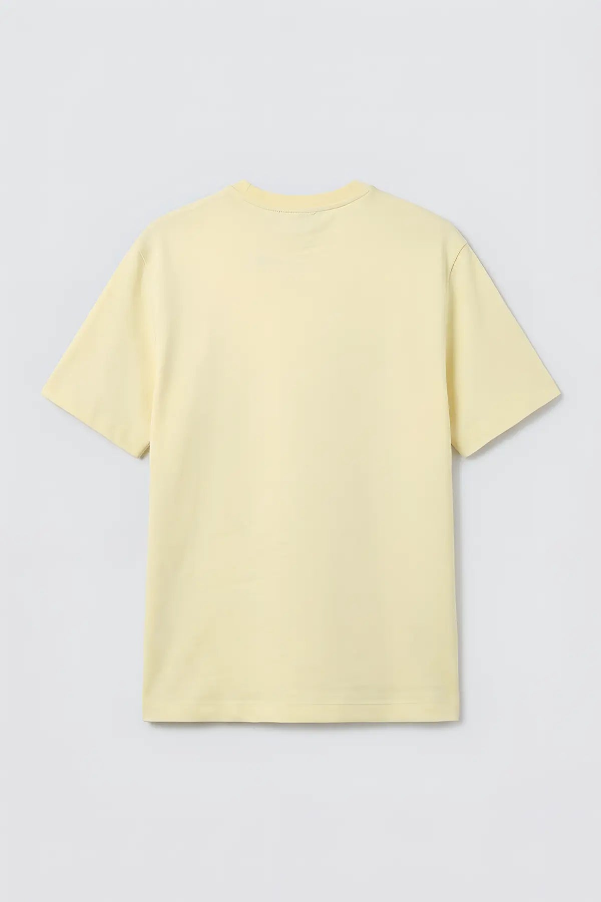 Regular Fit Basic Erkek T-Shirt - arka gorunum
