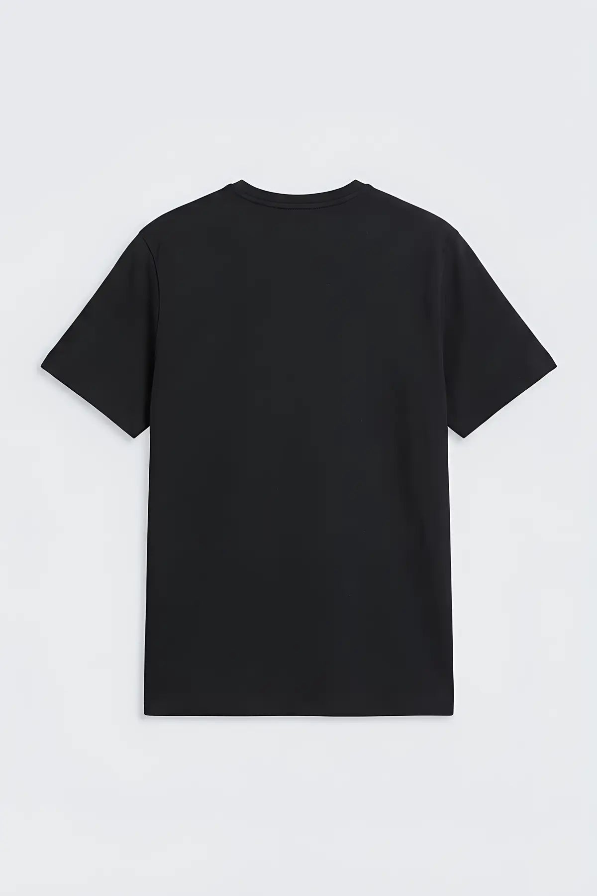 Antioch Regular Fit Basic Erkek T-Shirt - arka gorunum