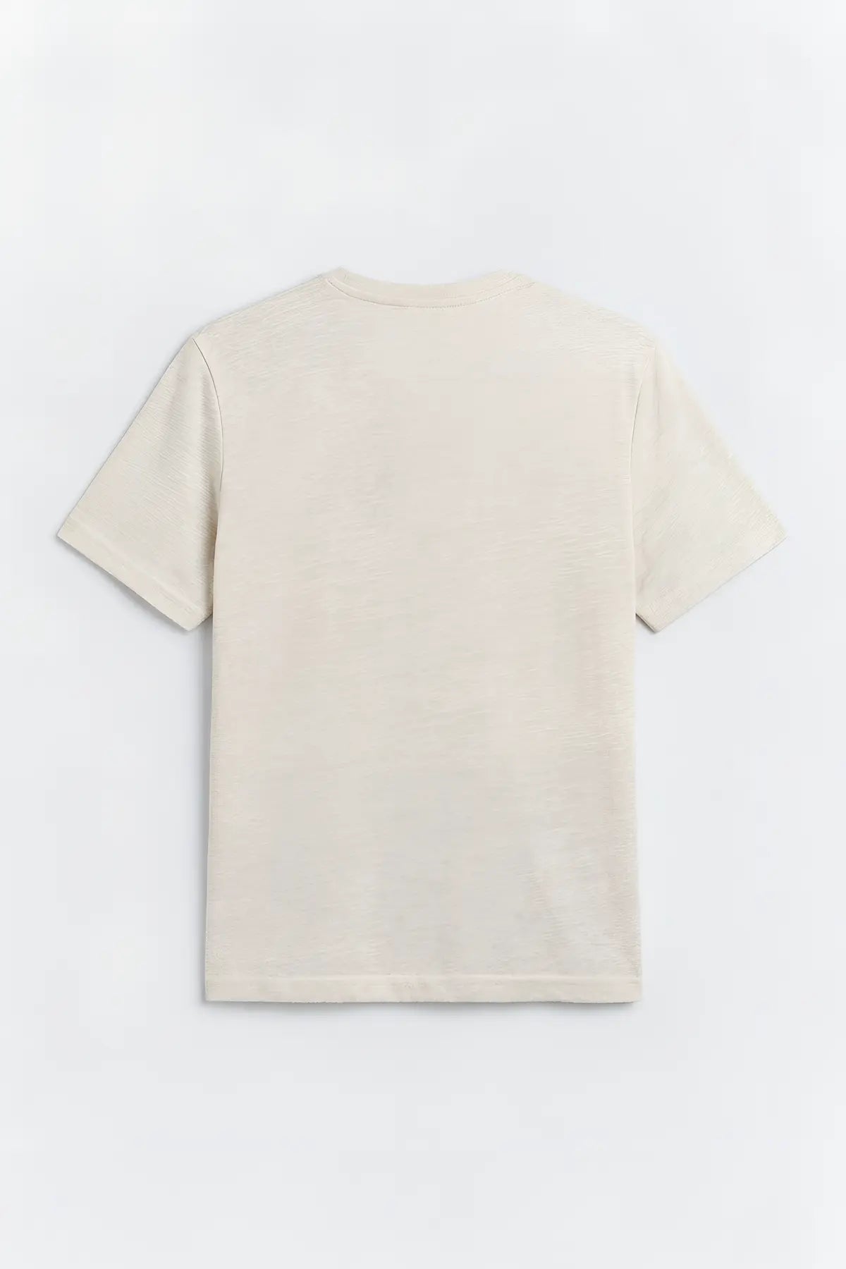 Antioch Basic Erkek T-Shirt - arka gorunum