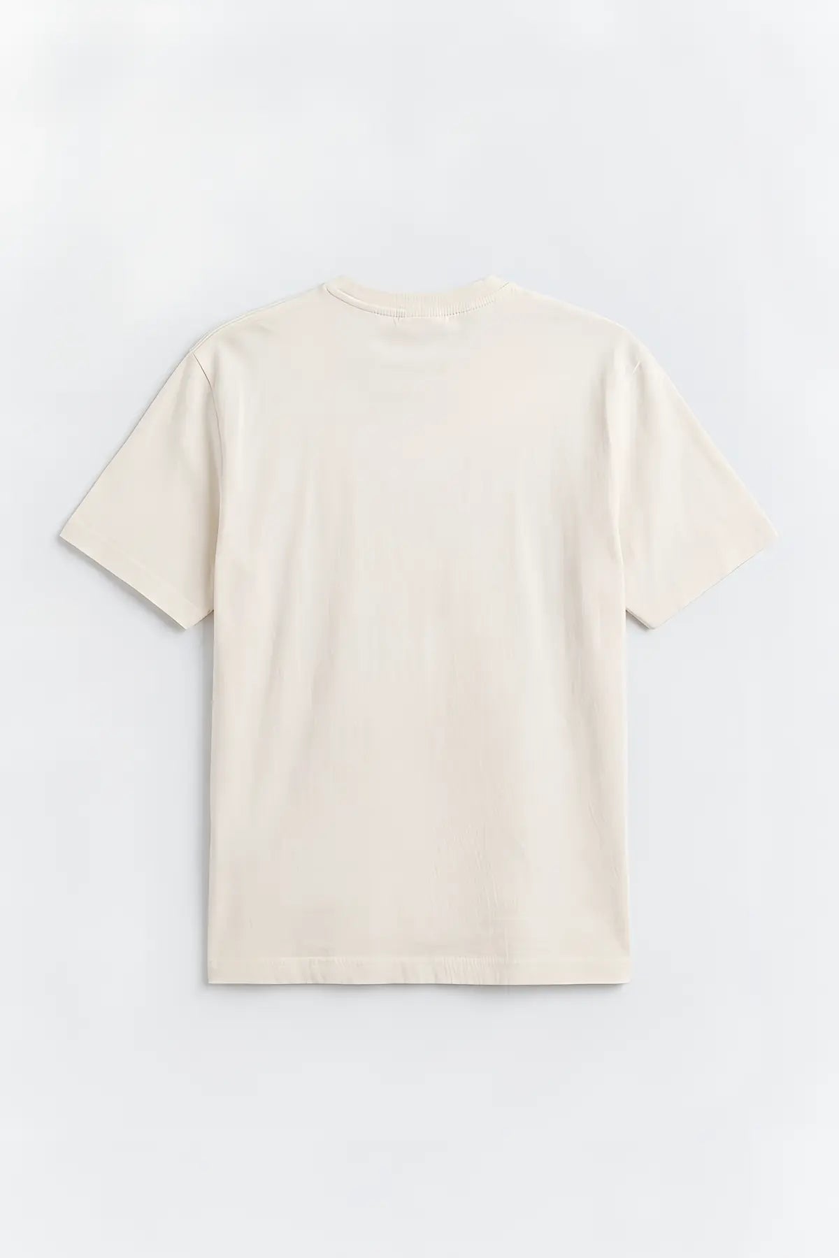 Pamuklu Erkek T-Shirt - arka gorunum