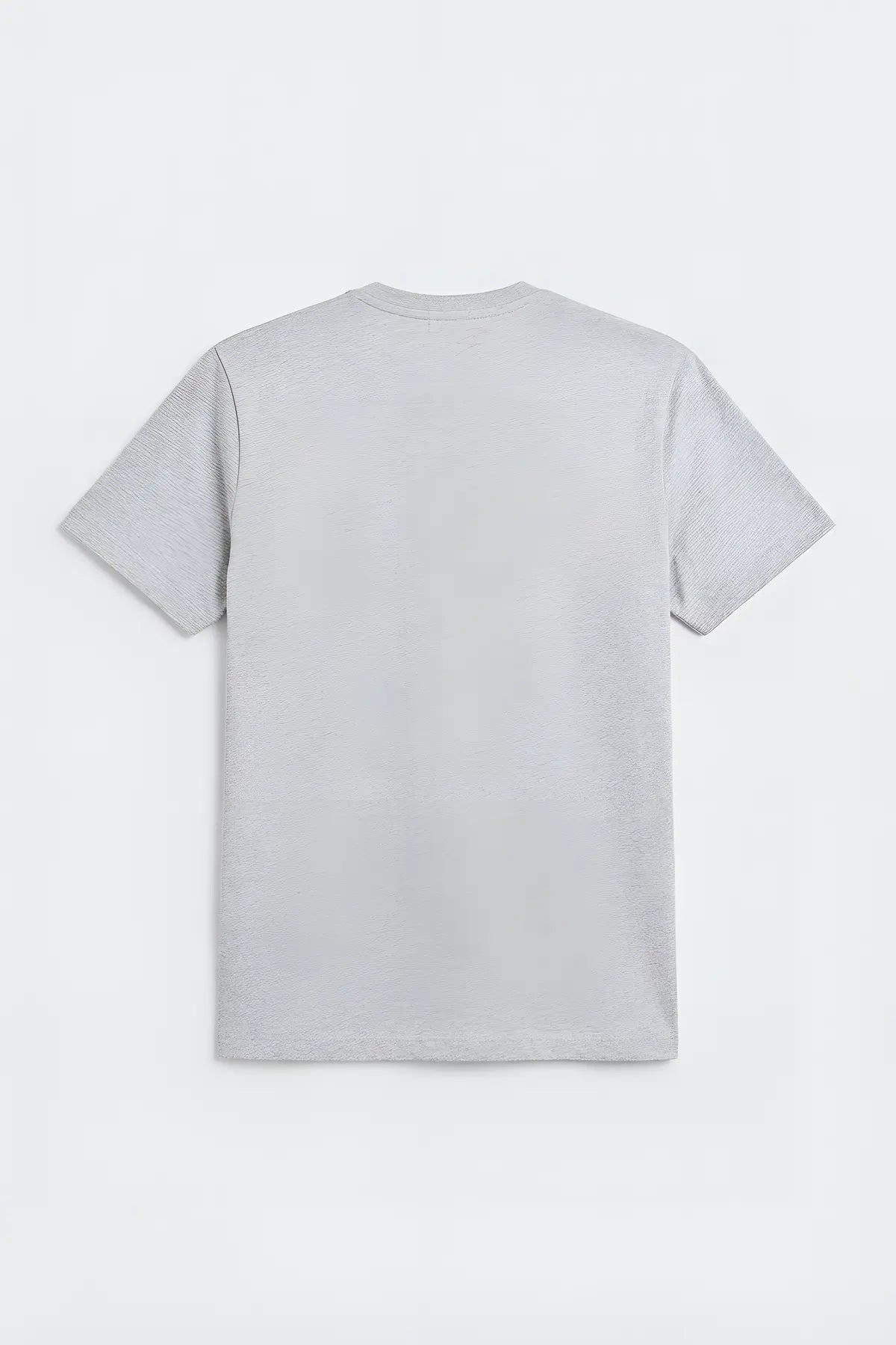 Pamuklu Erkek T-Shirt - arka gorunum