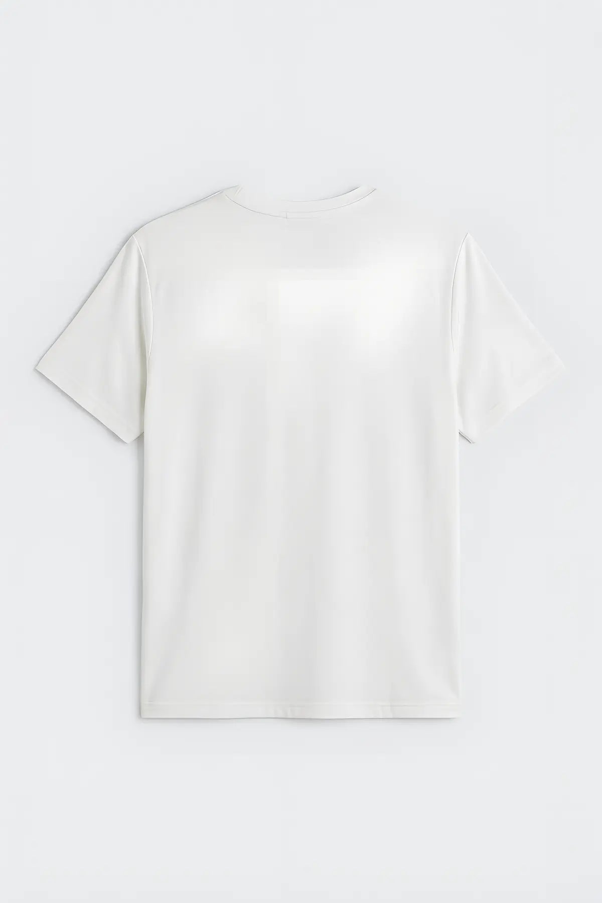 Antioch Regular Fit Modal Teknik Kumaş Erkek T-Shirt - arka gorunum