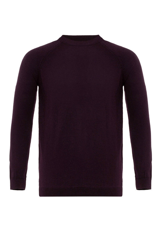 Antioch Bisiklet Yaka Slim Fit Triko Kazak