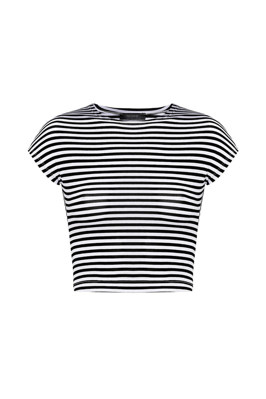 Antioch Crop Fit Çizgili Kadın T-Shirt